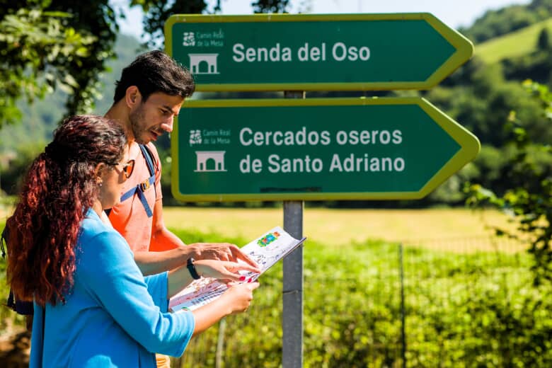 Beyond Tokenism: What’s the Real Business Case for Bilingual Signage?